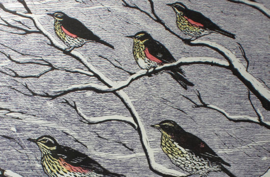 redwings and fieldfares